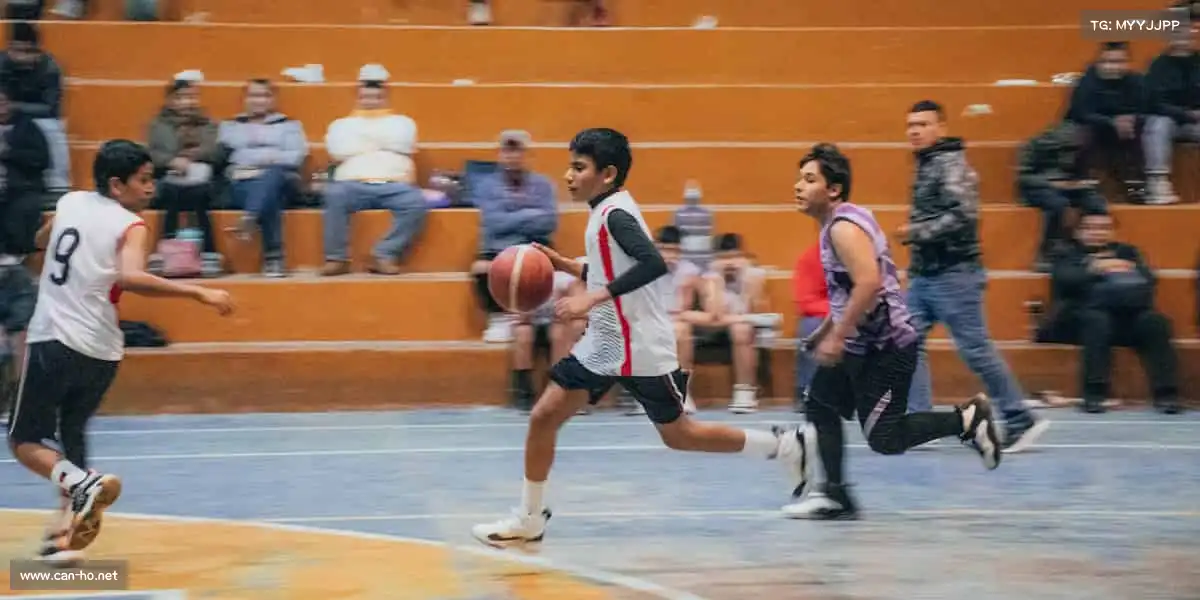 行业领先的理由